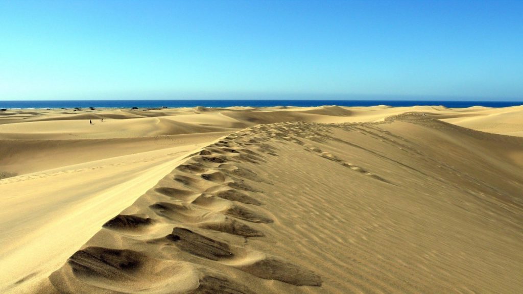 The continually changing dunes of Sahara