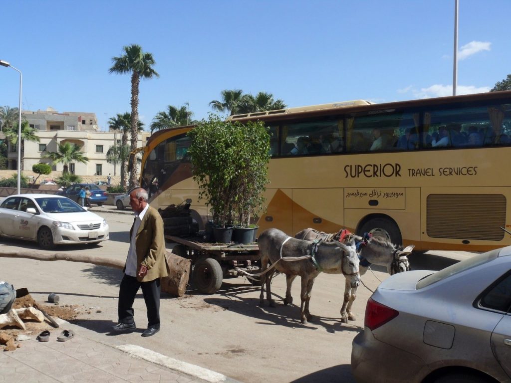 Luxury coach and donkeys on the streets of Cairo